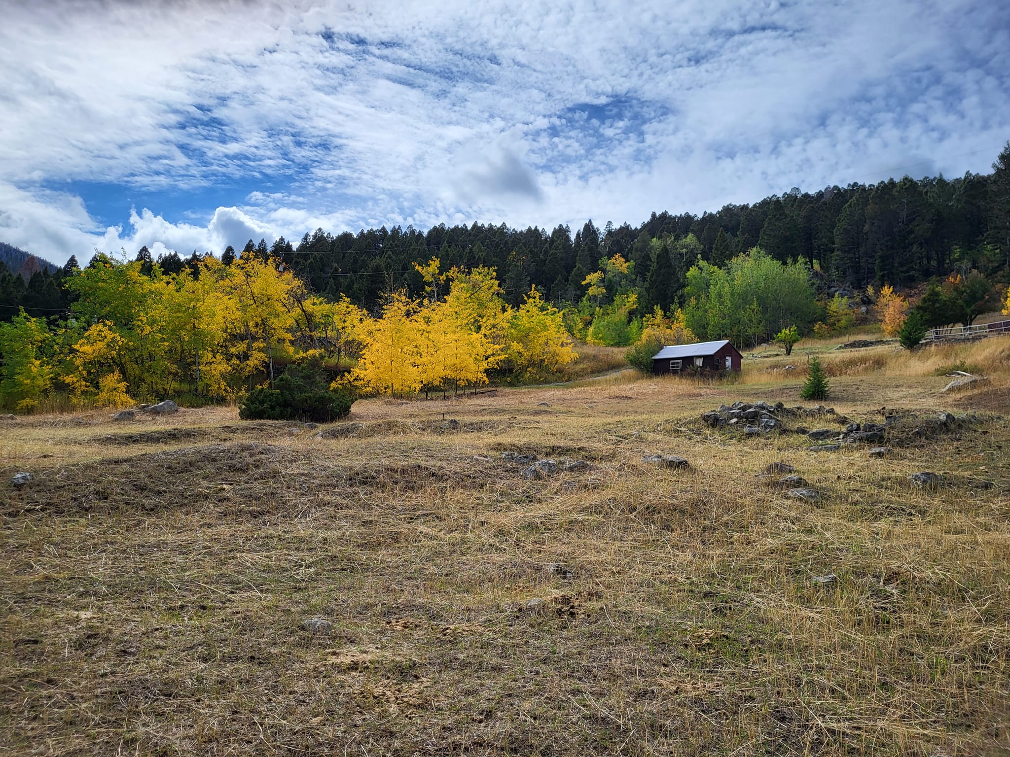 valley with fall foliage