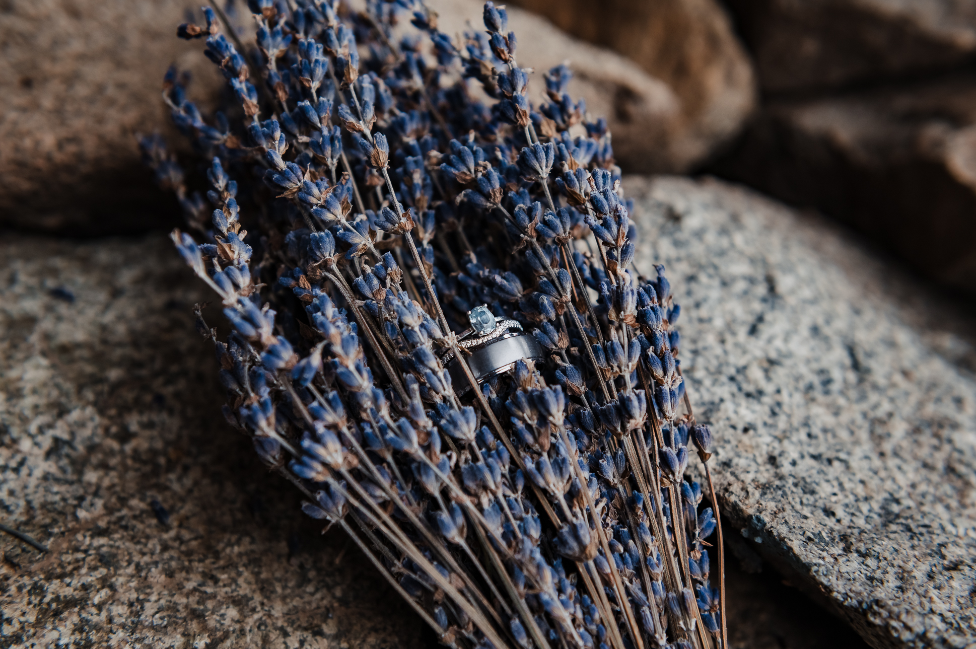 wedding rings in a bushel of lavender