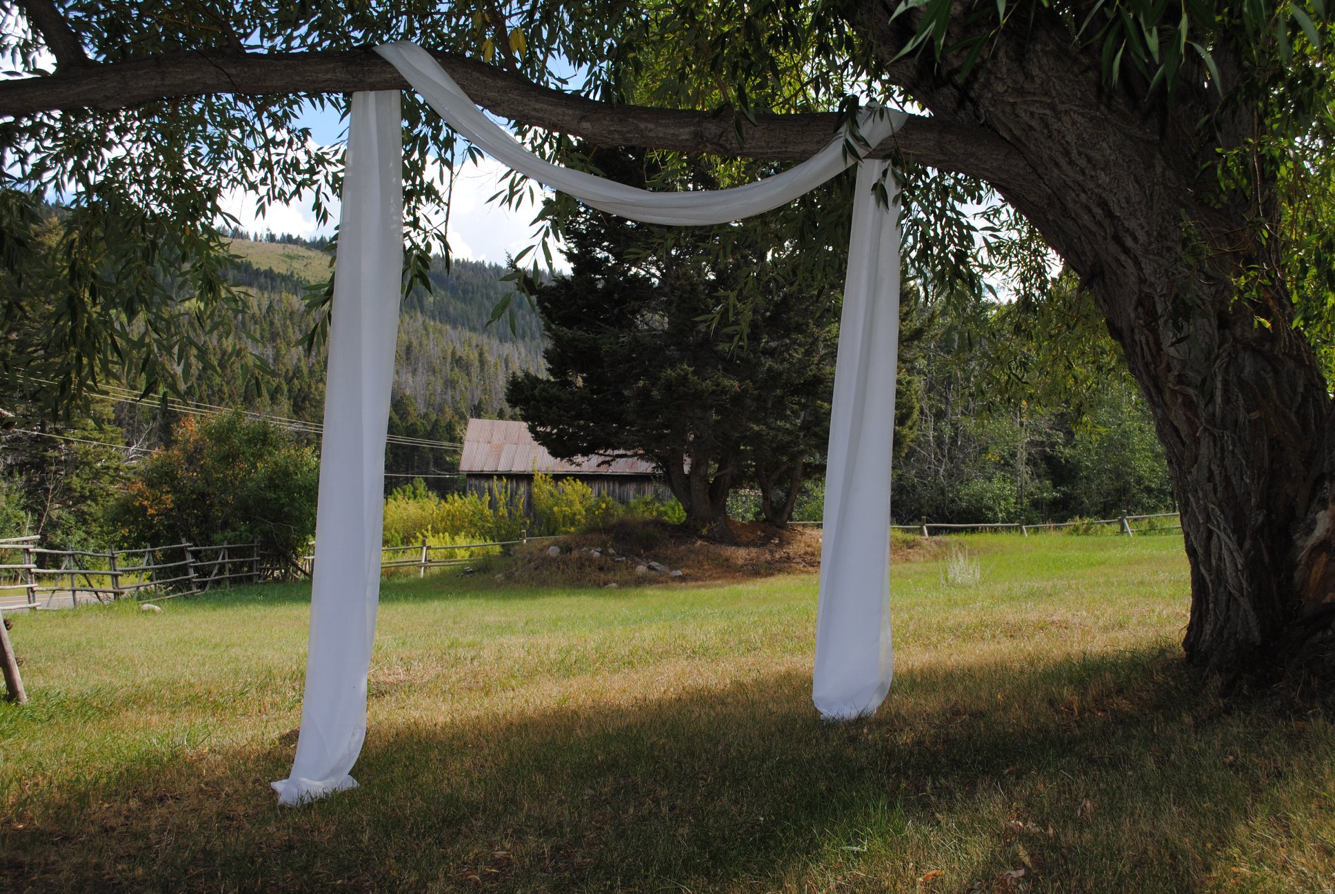 drapery hanging from trees at wedding venue