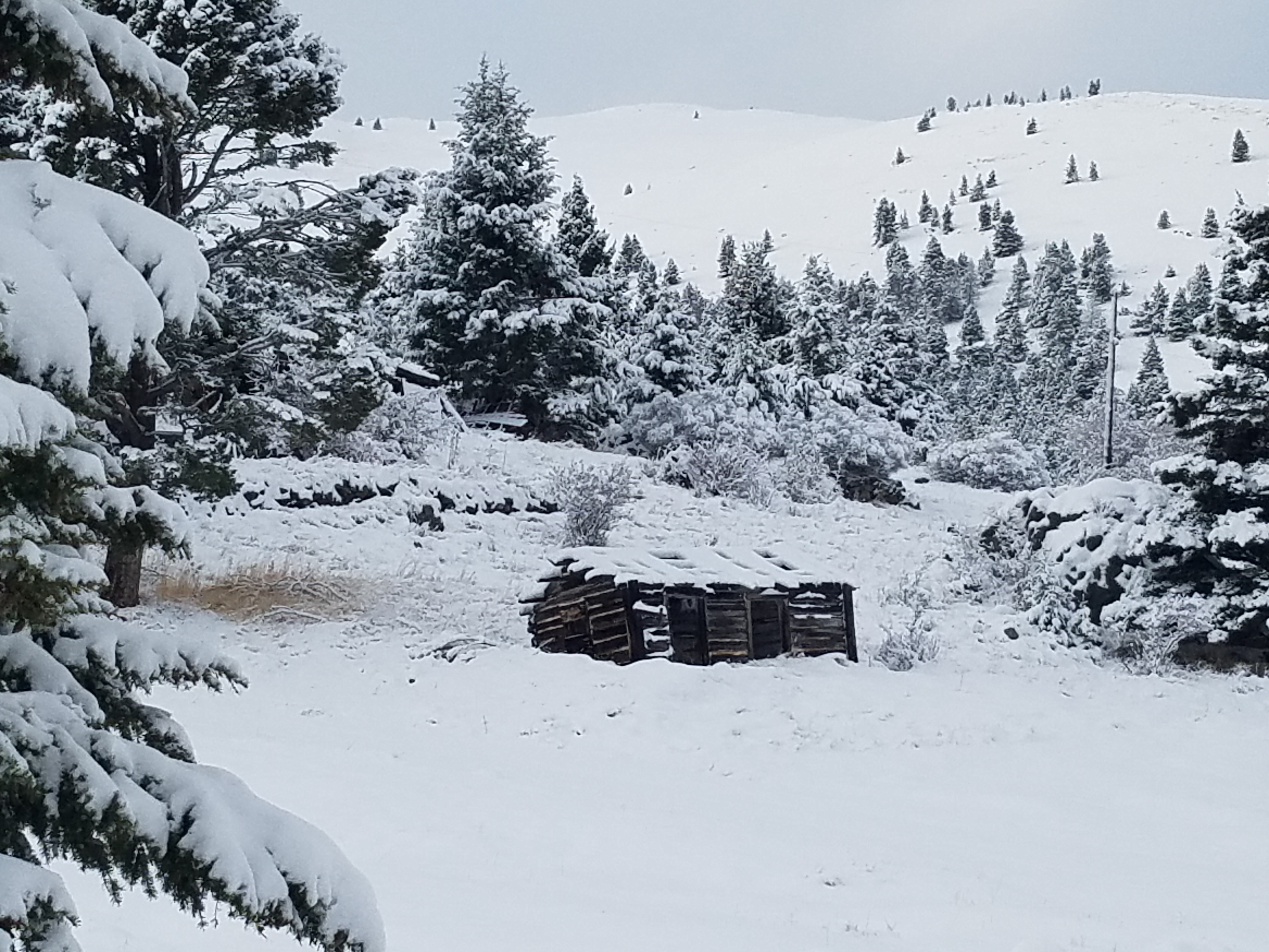snowy Montana mountains