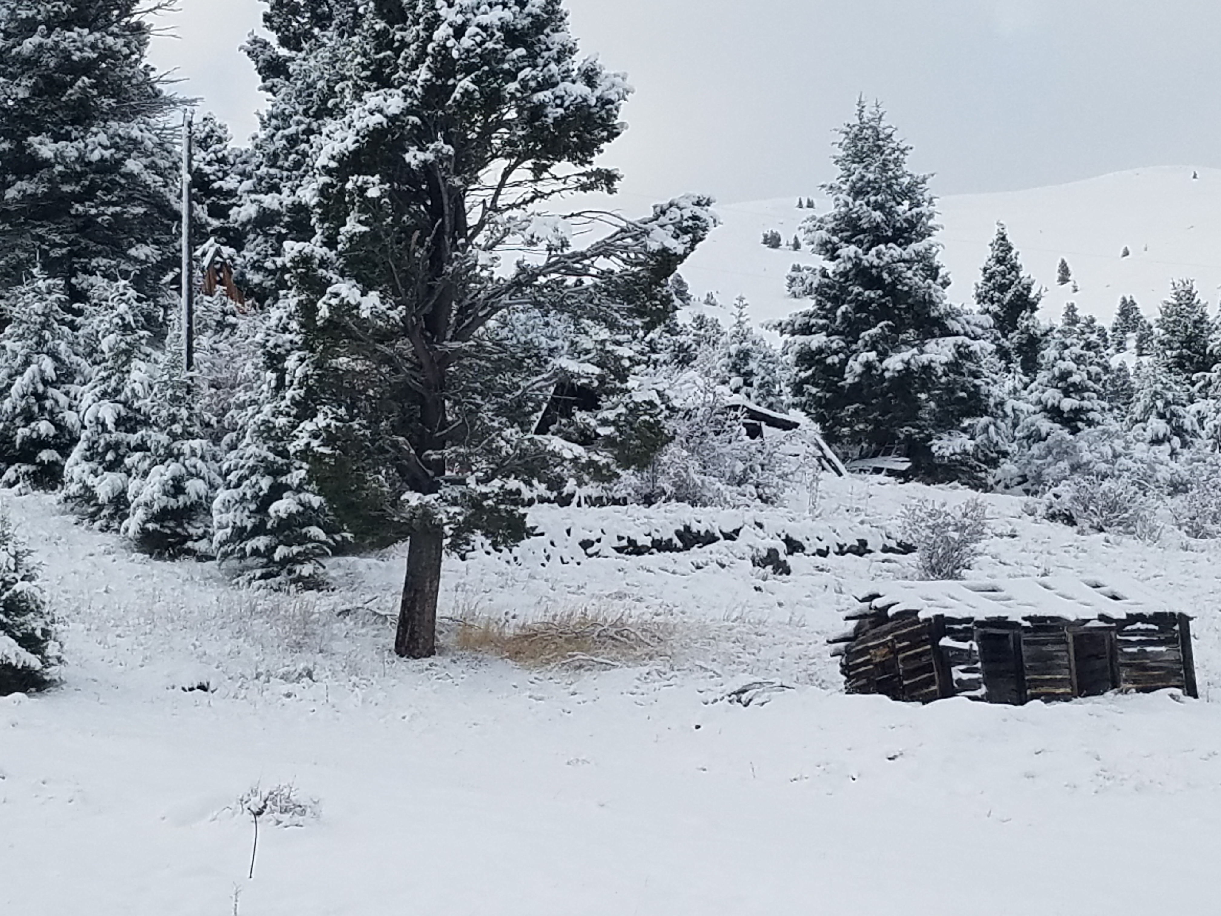 Historic Marysville General Store property in the snow